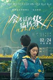 会考试的猛犸象 Chinese Examinee (2020)