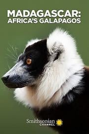 Madagascar: Africas Galapagos Madagascar: Africas Galapagos (2019)