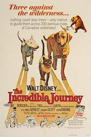 一猫二狗三分亲 The Incredible Journey (1963)