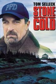 铁血证据 Stone Cold (2005)