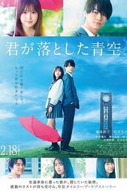 你遗落的蓝天 The Blue Skies at Your Feet (2022)