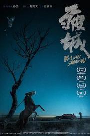 疲城 Kill the Shadow (2017)