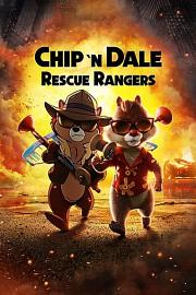 奇奇与蒂蒂：救援突击队 Chip n Dale: Rescue Rangers (2022)