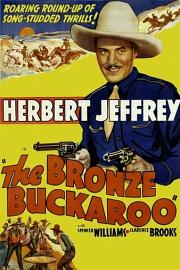古铜色的牛仔 The Bronze Buckaroo (1939)