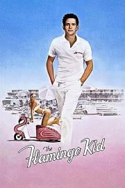 冲击 The Flamingo Kid (1984)