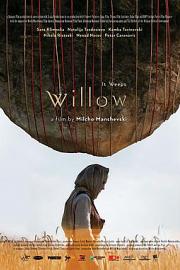 柳树 Willow (2019)