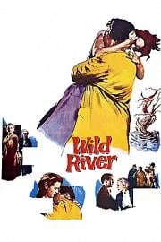 狂澜春醒 Wild River (1960)