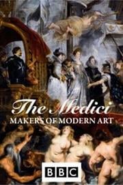 美第奇家族：现代艺术缔造者 The Medici: Makers of Modern Art (2008)
