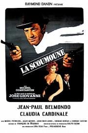 双枪智多星 Scoumoune (1972)