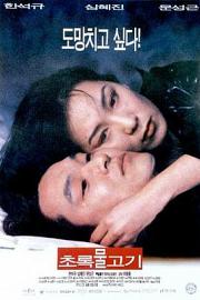 绿鱼 Green Fish (1997)