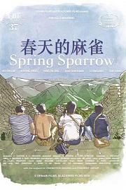 春天的麻雀 Spring Sparrow (2019)
