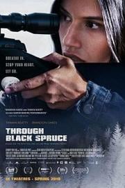 穿过黑云杉 Through Black Spruce (2018)