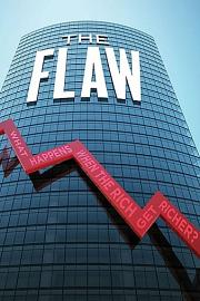 瑕疵 The Flaw (2011)