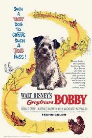 绿野小英雄 Greyfriars Bobby: The True Story of a Dog (1961)