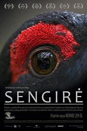 古老的森林 Sengirė (2017)