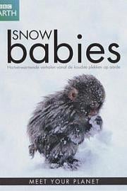 冰上动物宝宝 Snow Babies (2012)
