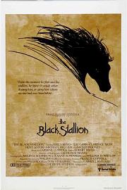 黑神驹 The Black Stallion (1979)