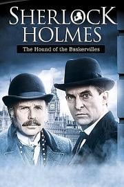 巴斯克维尔的猎犬 The Hound of the Baskervilles (1988)