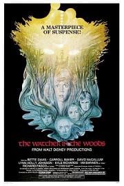 时光倒流三十年 The Watcher in the Woods (1980)