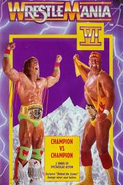 摔角狂热 6 WrestleMania VI (1990)