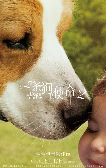 一条狗的使命2 A Dog’s Journey (2019)