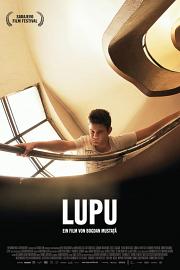 路普 Lupu (2013)