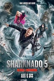 鲨卷风5：全球鲨暴 Sharknado 5: Global Swarming (2017)