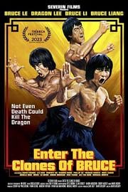 虚龙争假虎斗 Enter the Clones of Bruce (2023)