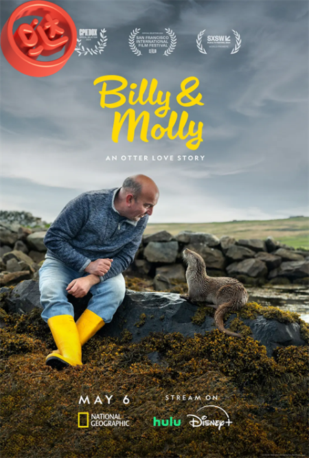 比利和莫莉：水獭的爱情故事 Billy & Molly: An Otter Love Story (2024)