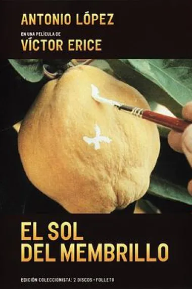 榅桲树阳光 El sol del membrillo (1992)