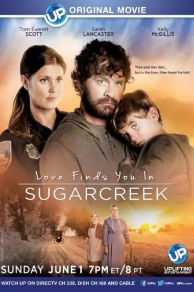 甜蜜湾之恋 Love Finds You in Sugarcreek (2014)