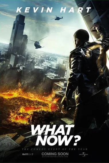凯文·哈特：整点啥呢？ Kevin Hart: What Now? (2016)