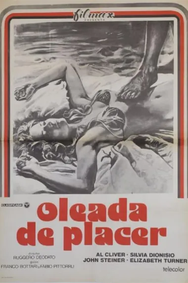 快乐的波波 Ondata di piacere (1975)