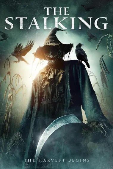 跟综狂 The Stalking (2024)