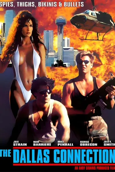 执法女先锋2 The Dallas Connection (1994)