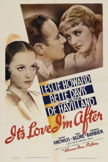 我所追逐的是爱情 Its Love Im After (1937)