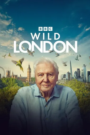 狂野伦敦 Wild London (2026)