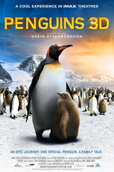 企鹅王历险 The Penguin King (2012)
