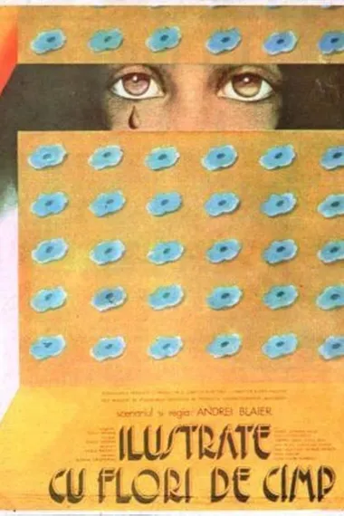 野花明信片 Ilustrate cu flori de câmp (1974)